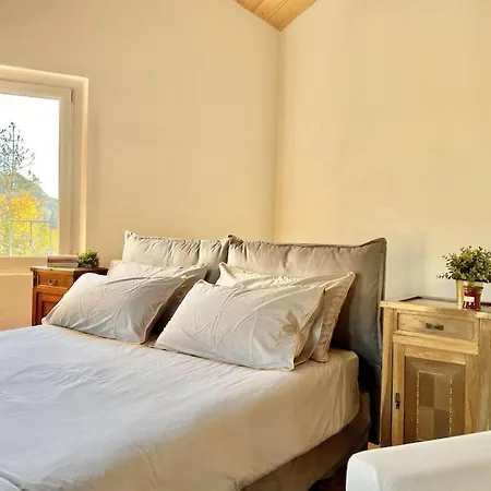 Attico Tre Cuori Castione Apartment
